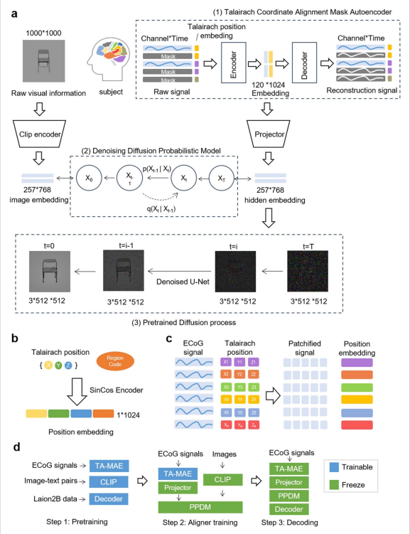 Visual Perception Research